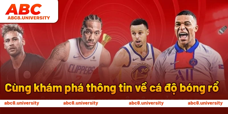 Cùng khám phá thông tin về cá độ bóng rổ Cùng khám phá thông tin về cá độ bóng rổ