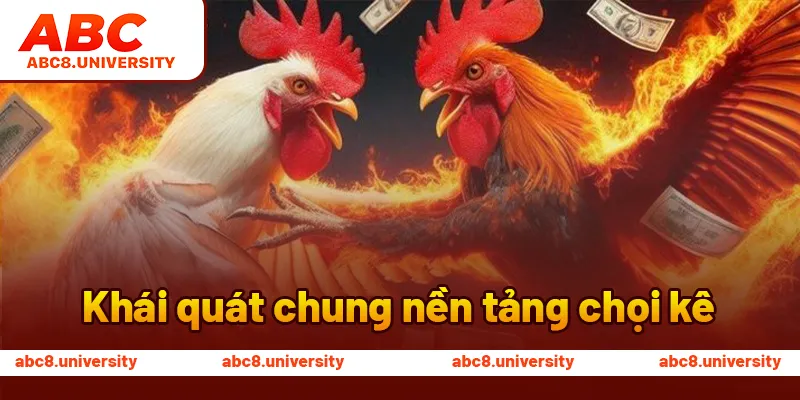 Khái quát chung nền tảng chọi kê Khái quát chung nền tảng chọi kê