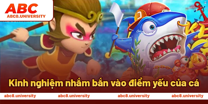 Kinh nghiệm nhắm bắn vào điểm yếu của cá Kinh nghiệm nhắm bắn vào điểm yếu của cá