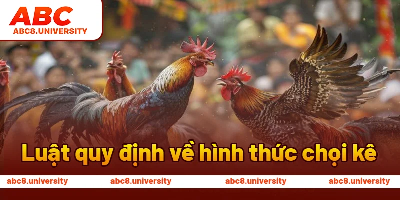 Luật quy định về hình thức chọi kê Luật quy định về hình thức chọi kê