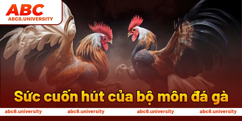 Sức cuốn hút của bộ môn đá gà Sức cuốn hút của bộ môn đá gà