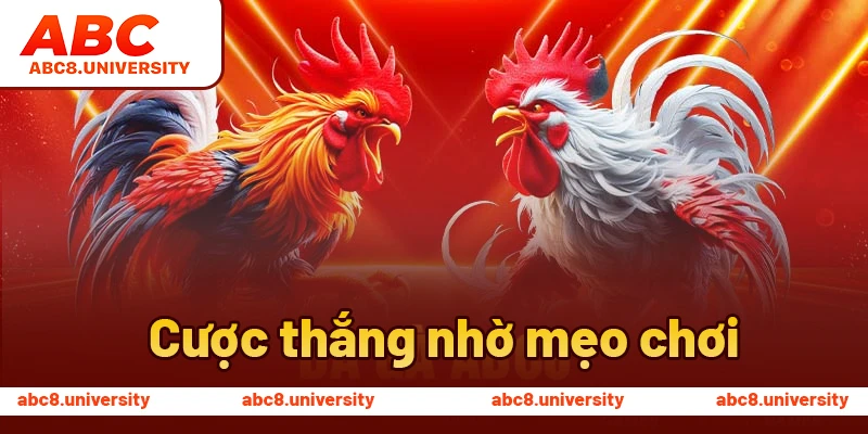Cược thắng nhờ mẹo chơi Cược thắng nhờ mẹo chơi