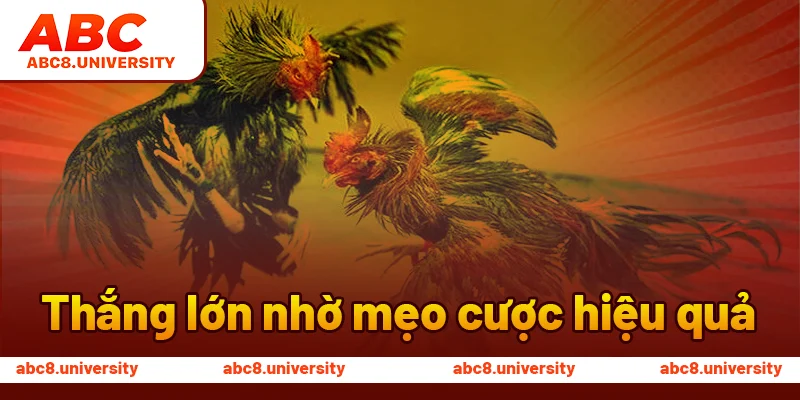 Thắng lớn nhờ mẹo cược hiệu quả Thắng lớn nhờ mẹo cược hiệu quả