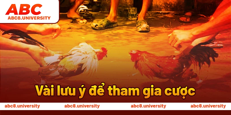 Vài lưu ý để tham gia cược Vài lưu ý để tham gia cược