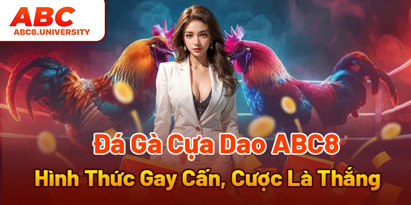 Đá Gà Cựa Dao ABC8 - Hình Thức Gay Cấn, Cược Là Thắng