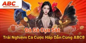 Đá Gà Cựa Sắt – Trải Nghiệm Cá Cược Hấp Dẫn Cùng ABC8