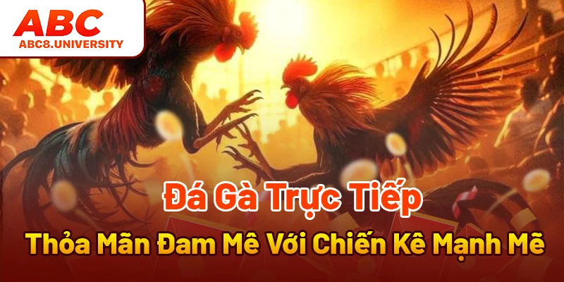Đá Gà Trực Tiếp - Thỏa Mãn Đam Mê Với Chiến Kê Mạnh Mẽ